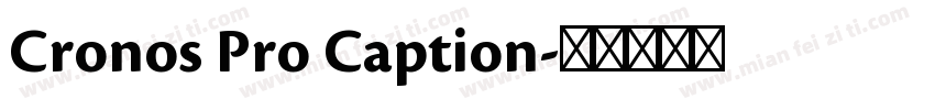 Cronos Pro Caption字体转换